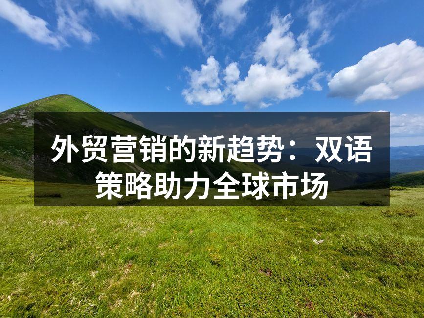 外贸营销的新趋势：双语策略助力全球市场
