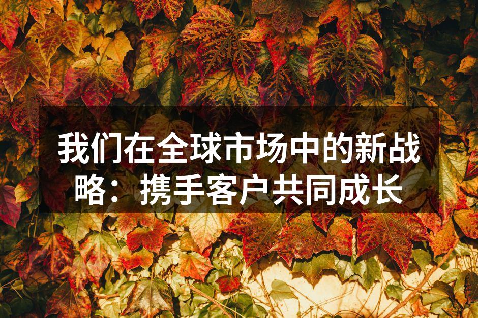 我们在全球市场中的新战略：携手客户共同成长